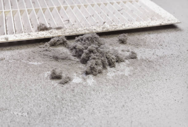 Best Duct Cleaning Specialists  in Kilauea, HI
