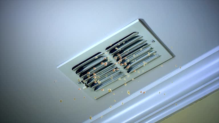 Best Ventilation Cleaning Services  in Kilauea, HI