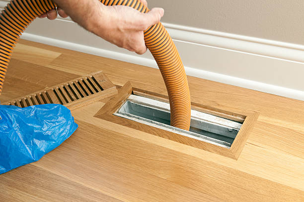 Air Duct Mold Removal in HI