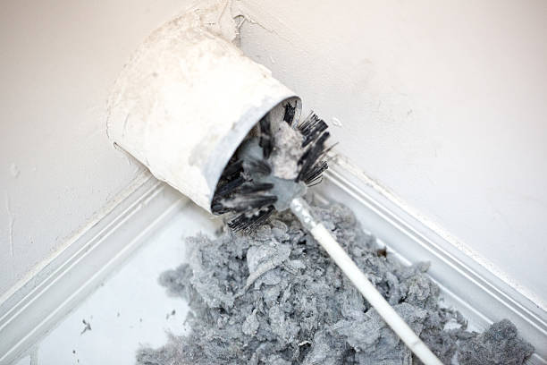 Best Local Air Duct Cleaning Services  in Kilauea, HI